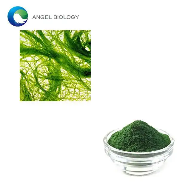 Chlorella Powder in Vegan Protein Blends: Benefits?